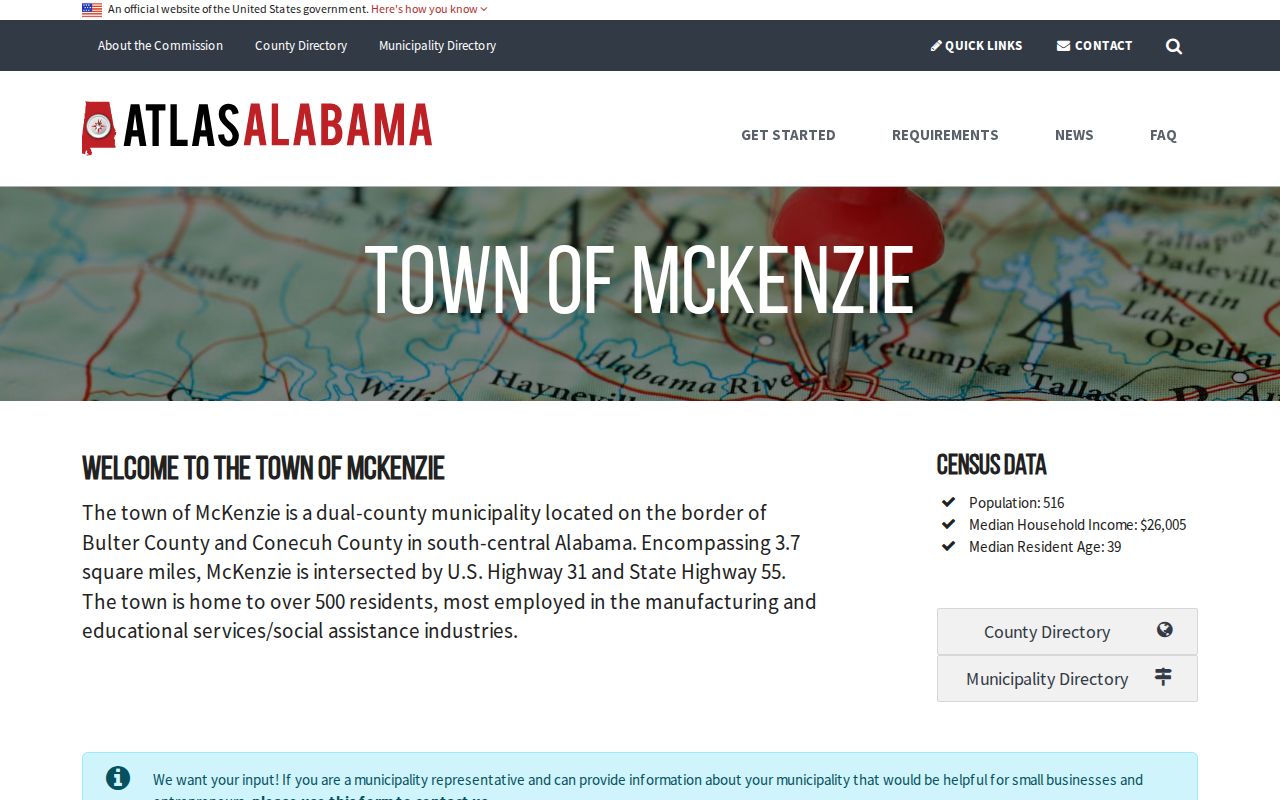 McKenzie criminal history dual-county municipal profile